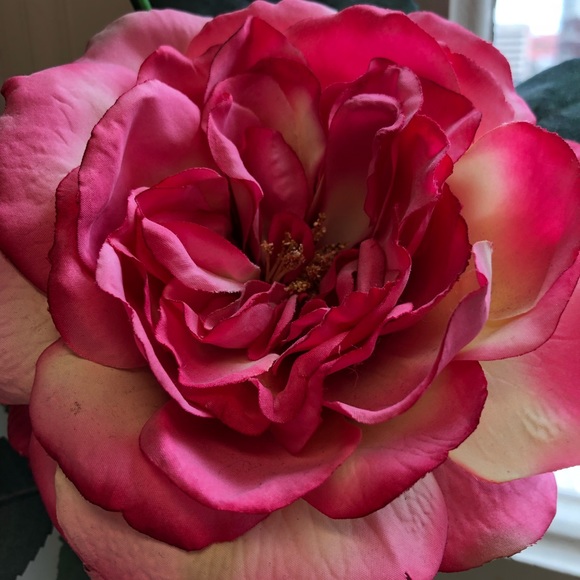 Meet your Posher, Susan - Picture 1 of 1